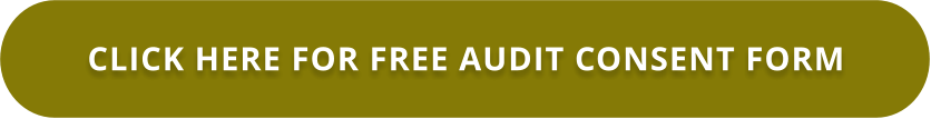 CLICK HERE FOR FREE AUDIT CONSENT FORM