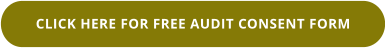 CLICK HERE FOR FREE AUDIT CONSENT FORM